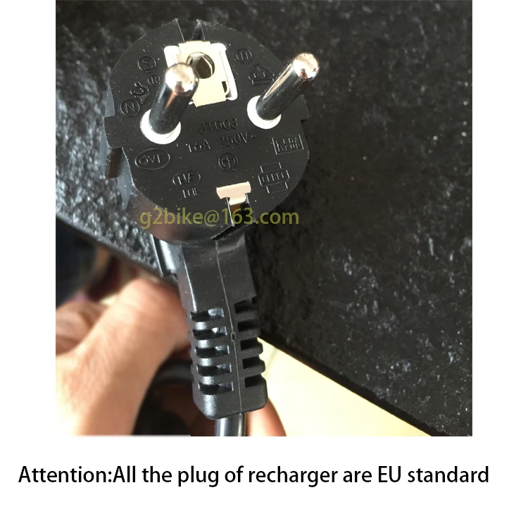 Top G Two design for commuter 14inch smart folding aluminum hand carry fast speed mini electric bicycle 250W 48V  ebike dyu d3 18