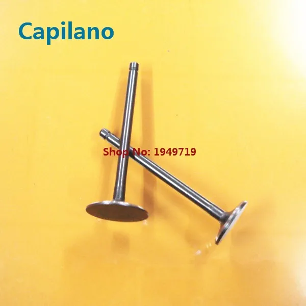 YP250 engine valve (5)