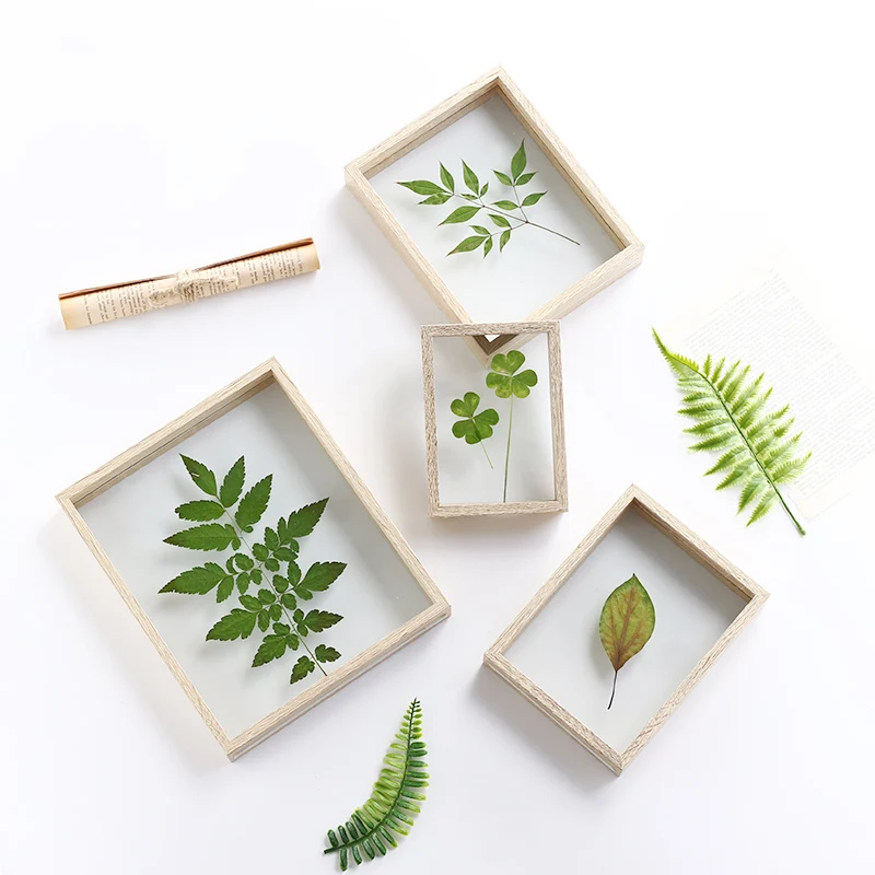 

Nordic Double Sided Glass Photo Frame DIY Plant Specimens Solid Wood Frame Leaf Clips Desktop Decoration Picture Frames Ornament