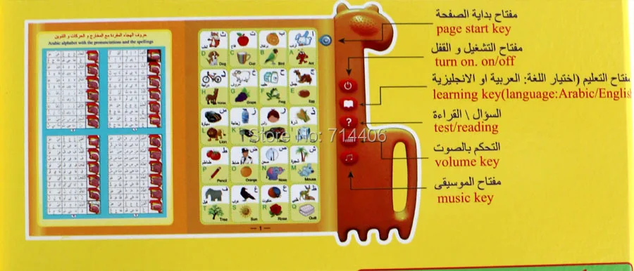 books on learning arabic language