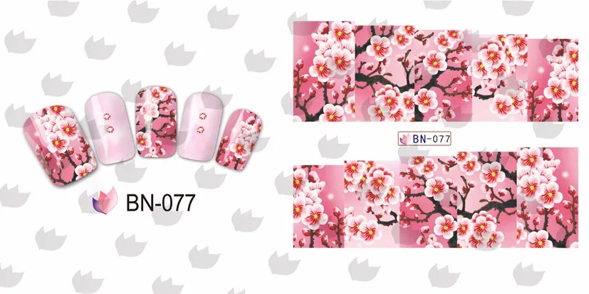 BN-077