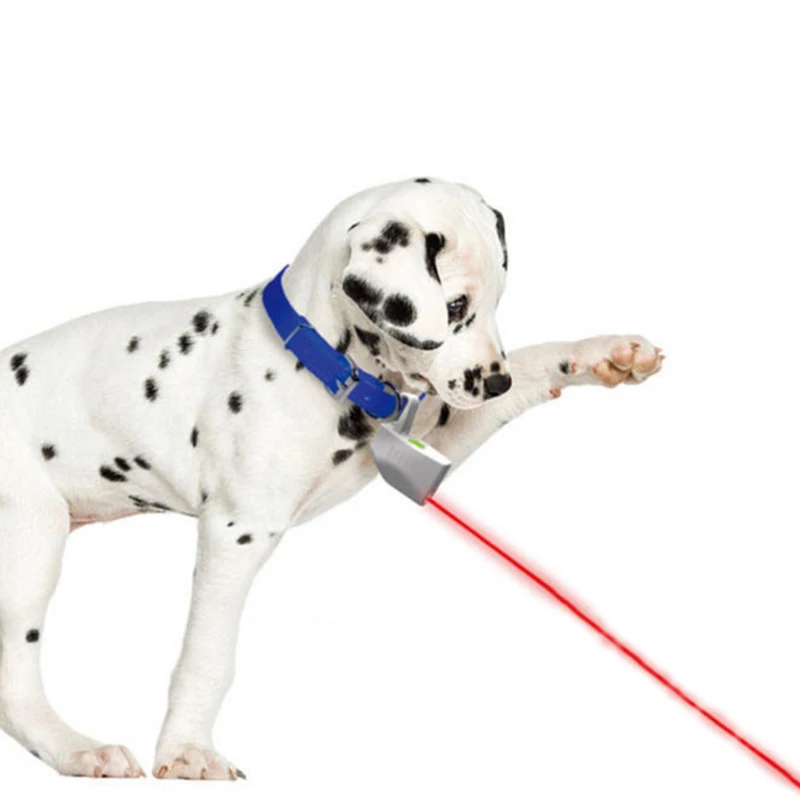 Pet Dog Cat Laser Pointer Collar Laser Toy Fashion Training Play