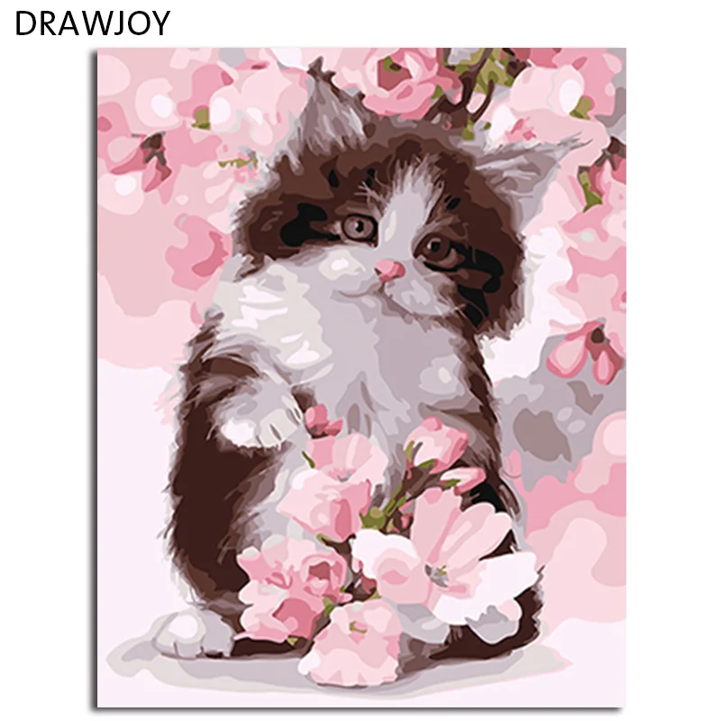 DRAWJOY картина в рамке и каллиграфия милых животных кошка DIY картина по номерам Раскраска по номерам для домашнего декора