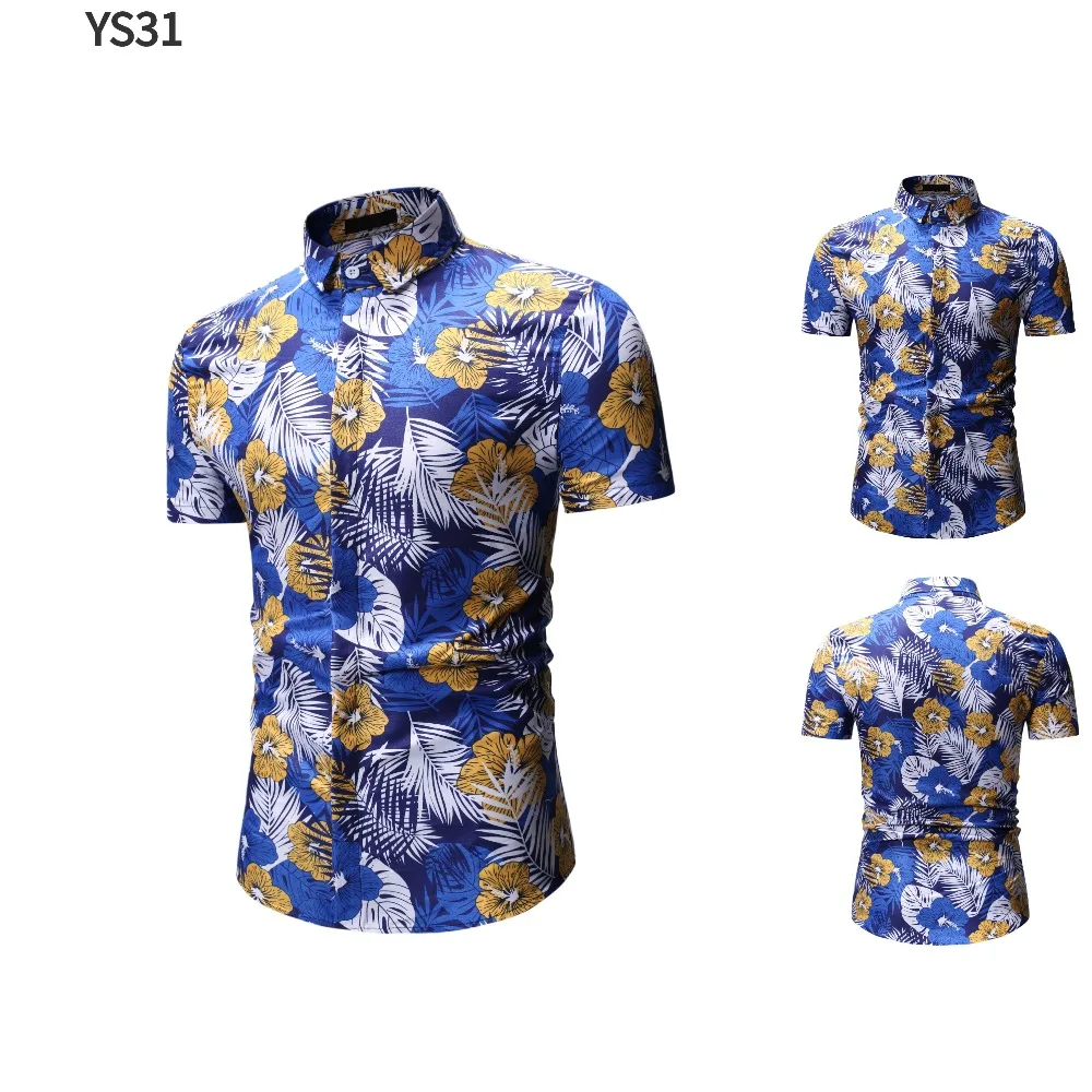 YS31-2