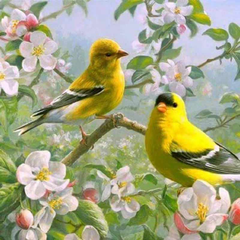 100-Full-5D-Diy-Daimond-Painting-Yellow-Birds-3D-Diamond-Painting-Full-Rhinestones-Diamant-Painting-Embroidery