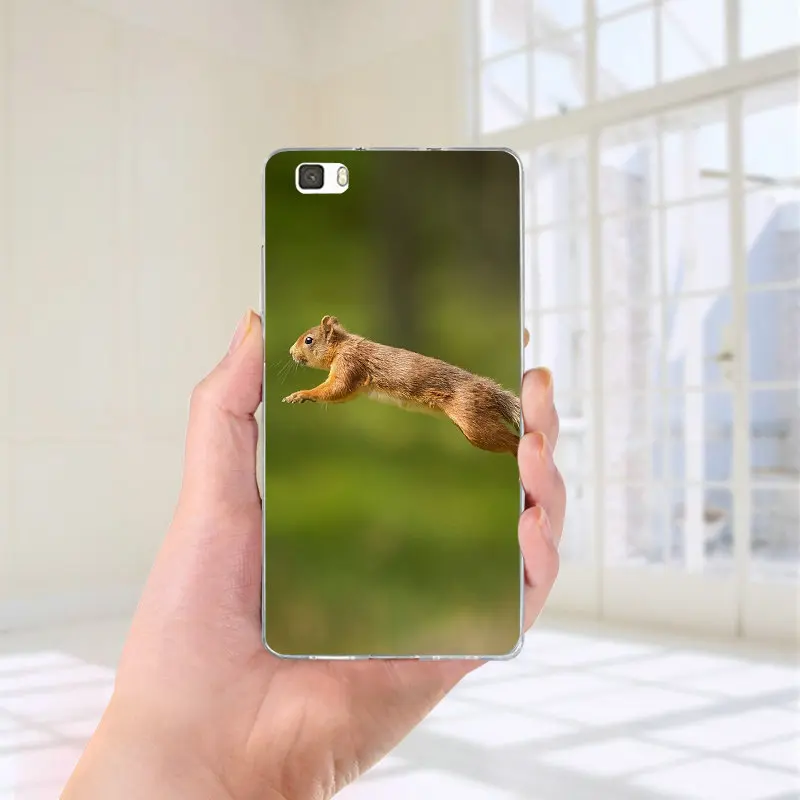 For Huawei P8 P9 P10 P20 P30 Honor 6X 7X 7 9 Mate 10 Pro Lite P Smart Silicone Soft TPU Mobile Phone Case Lovely Animal Squirrel For Huawei P8 P9 P10 P20 P30 Honor 6X 7X 7 9 Mate 10 Pro Lite P Smart Silicone Soft TPU Mobile Phone Case Lovely Animal Squirrel