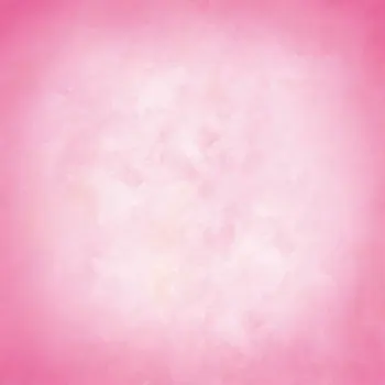 

Pink photo backdrop Vinyl cloth High quality Computer printed newborns Photography Backgrounds