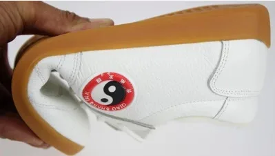 Зимняя обувь Tai Chi; обувь с хлопчатобумажными стельками; Теплая обувь из натуральной шерсти; тренировочная обувь для боевых искусств; Утепленная обувь для кунг-фу - Цвет: Generous white