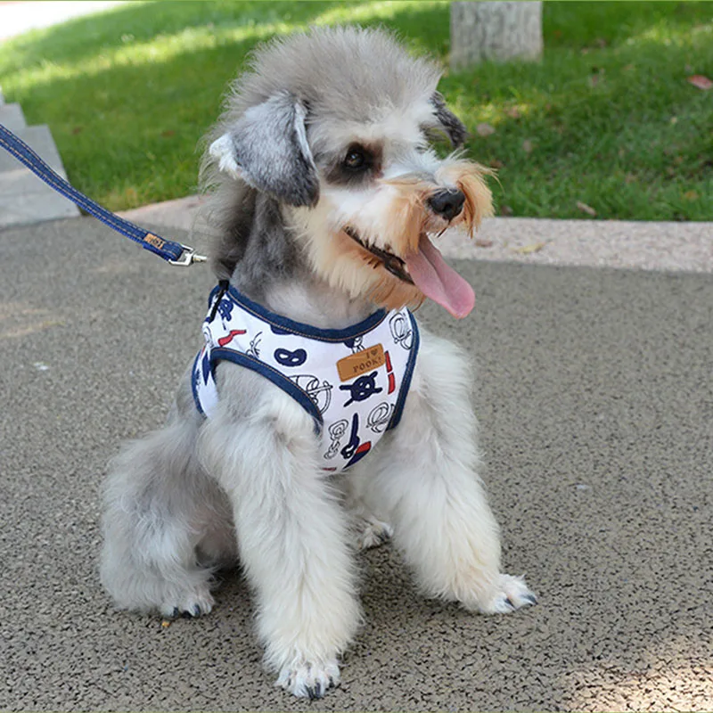 

Jean Dog Harness Leash Set Cat Pet Accessories Denim Vest for Small Dogs Leash Walking Out Lead Harness Pet Product Dropshipping