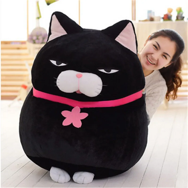 cat4