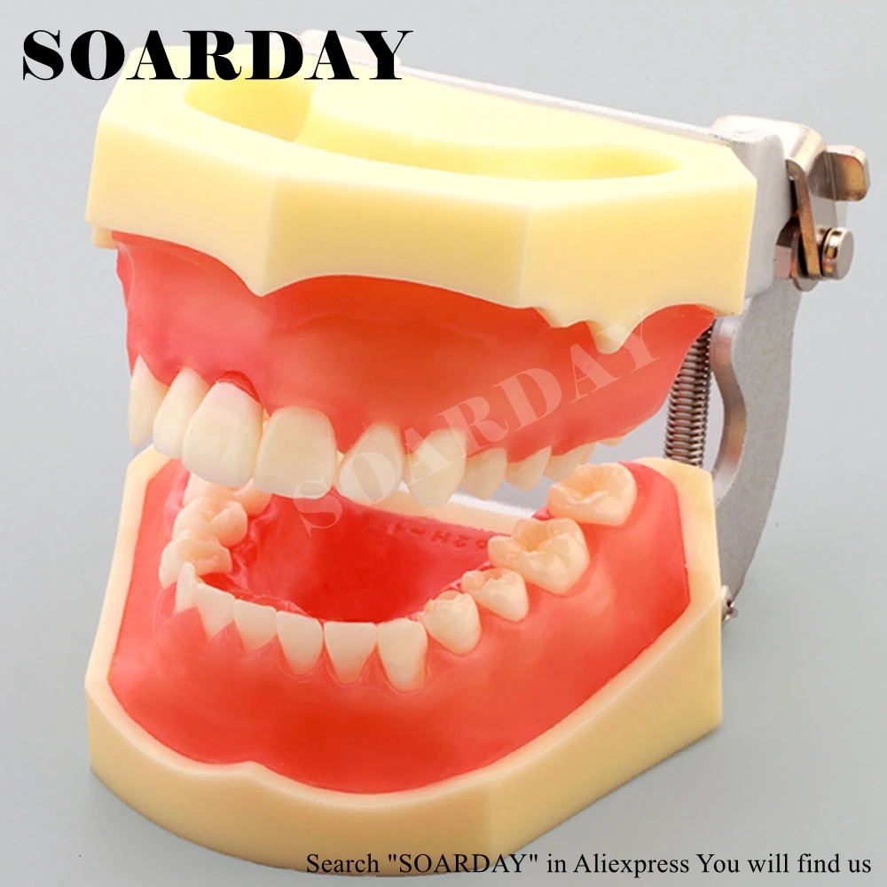 Стоматологическое стандартное литье. Мягкая десна. Денто-модель верхней и нижней челюсти. Расширитель верхней челюсти цена стоимость. Модель фантом зубной челюсти.