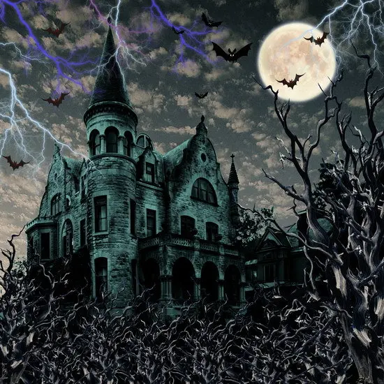 

7X10ft Halloween party backgrounds Thin vinyl cloth photography backdrops computer Printing backdrops for photo studio Ha-043