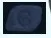 cruise button