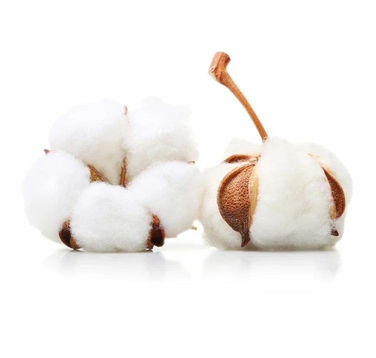 9304854249_1853685549