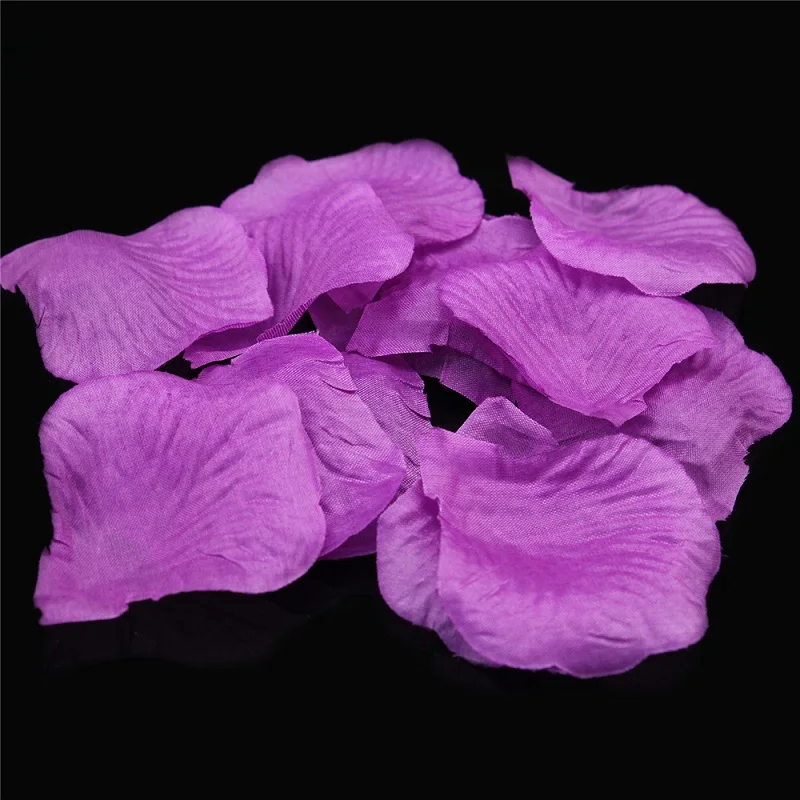 C31-C04purple (3)