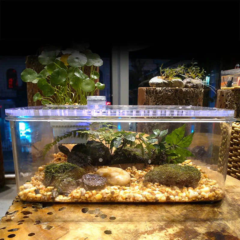 PETFORU,, прозрачный аквариум для рыб, насекомых, для разведения рептилий, кормушка, большая емкость, аквариум, ванна для обитания, черепаха, танк, платформа