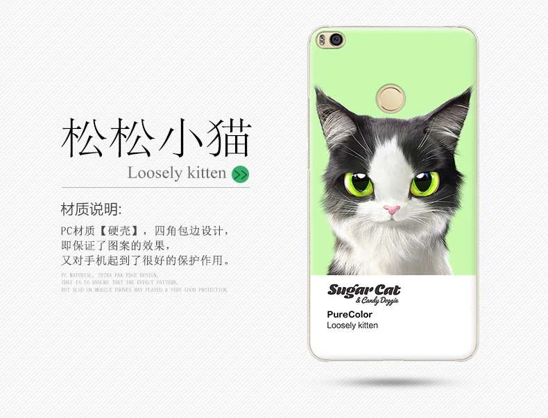 20170717_145137_1172