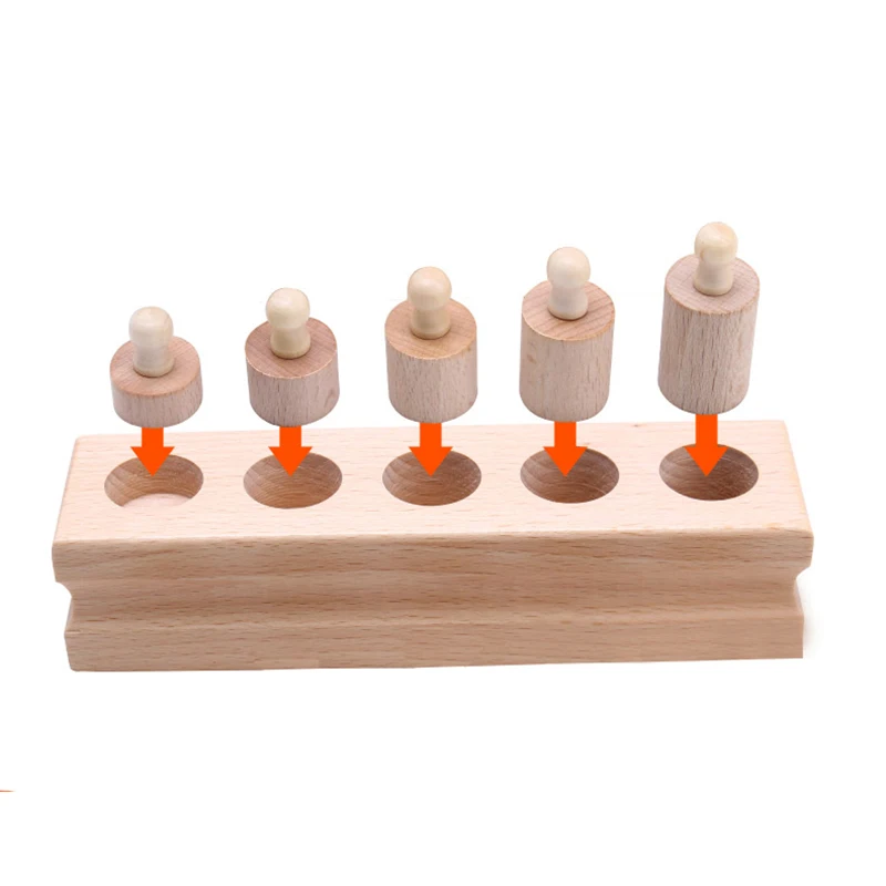 Montessori Kids Toy Baby Wooden Cylinder Block Set Montessori Materials Learning Educational Toys for Kids Birthday Gift ME2164H