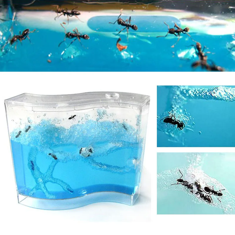

73 * 32 * 78mm Pet Ant House for Live Ants Educational Plastic Children Container Terrarium Insects