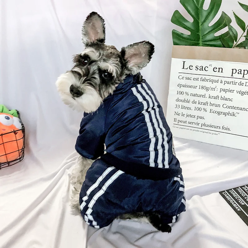 PETCIRCLE Одежда для собак Тедди Французский бульдог Померанский осень зима щенок кошка Одежда для питомцев Эдинбург медведь хлопковое пальто