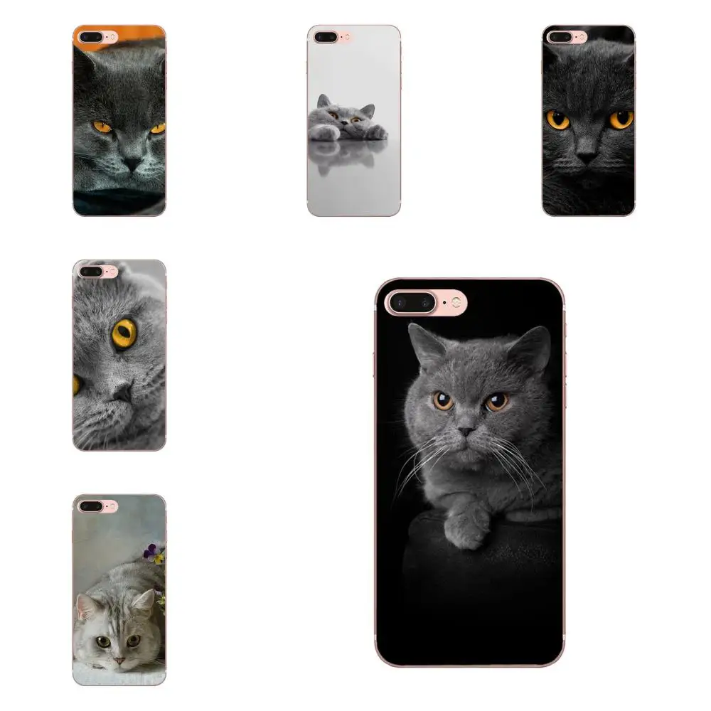 

TPU Mobile Pouch For Galaxy J1 J2 J3 J330 J4 J5 J6 J7 J730 J8 2015 2016 2017 2018 mini Pro British Shorthair Cat Top