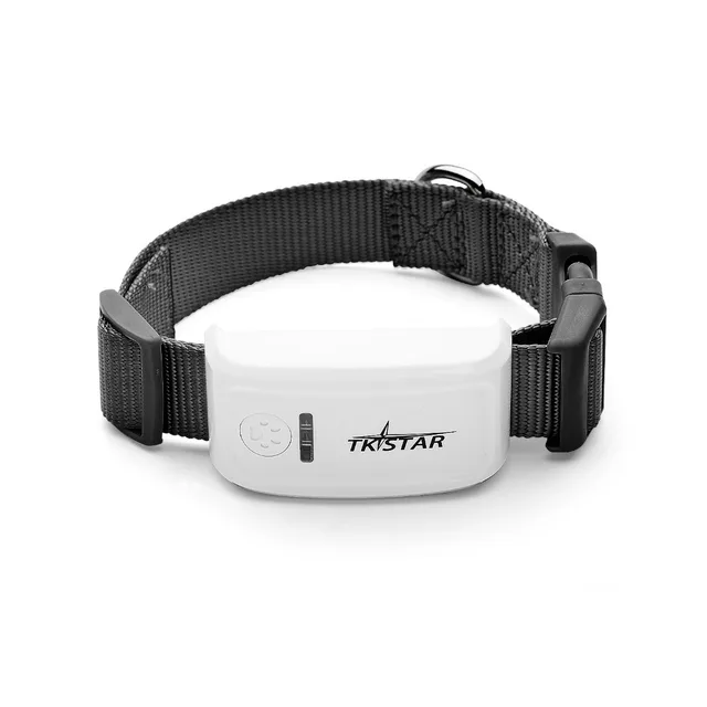 Best Buy Gps Dog Tracker Best Buy Gps Dog Tracker