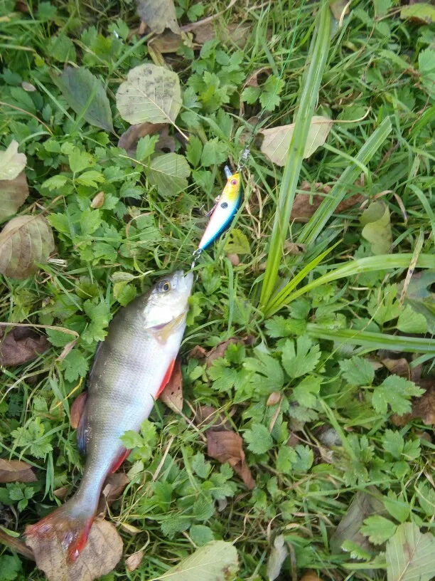 UTB8BOdhj1vJXKJkSajhq6A7aFXaP