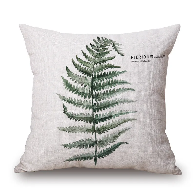 3101473117_2008424851