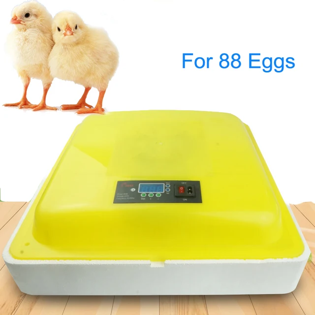 Wafer Thermostat For Egg Incubator