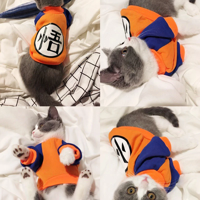 

Cute Cat Clothes for Cats Autumn Winter Soft Warm Small Cats Dogs Sweater Coat Pet Apparel XS-XXL