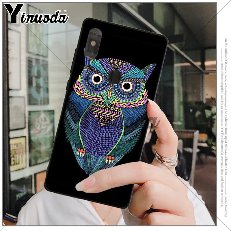 Animal Night Owl 
