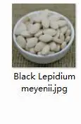 500 Black Lepidium m 500 шт. набор черный Lepidium meyenii - Цвет: 500 Black Lepidium m