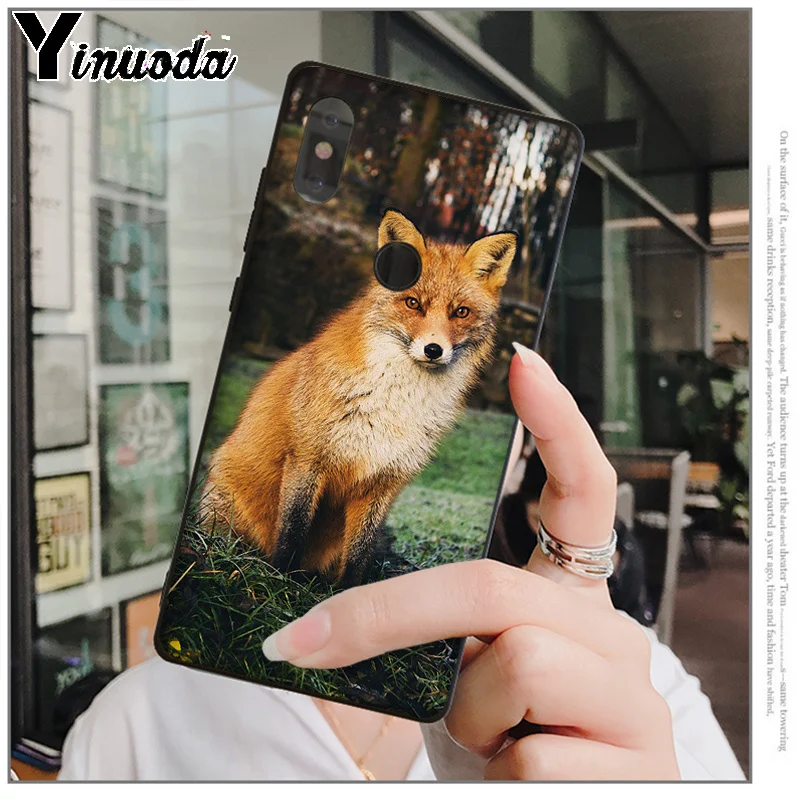 Yinuoda животное енот лиса ТПУ Мягкий силиконовый чехол для телефона чехол для красного mi 5 plus Note 5 Xuiao mi 8 8SE 6 mi X 2 2S Чехол для мобильного телефона s