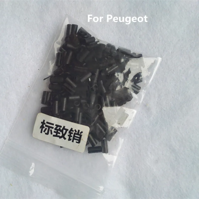 peugeot pin-1_