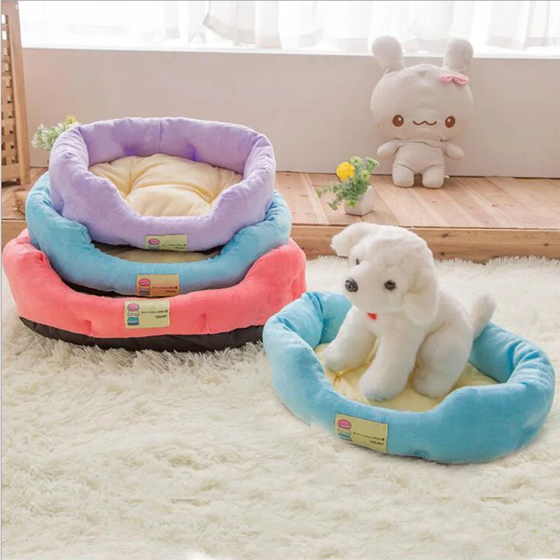 

Dog Fruit Color Pet Cat Dog Bed Mat 4 Colors Kennel Macarons Cat Little Pet Nest Top Quality For Promotion