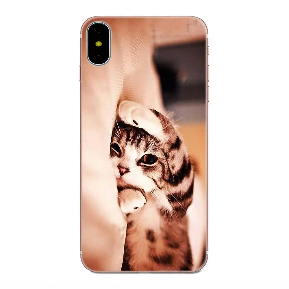 Мягкий силиконовый чехол Coute Sleeping Kitten Cat для Xiaomi Redmi Mi Note 7 8 9 SE Pro Lite Go