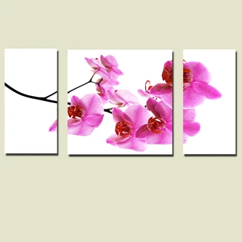 

3 pieces canvas Art painting butterfly orchid flowers wall art for a gift Living Room or bedroom Decor