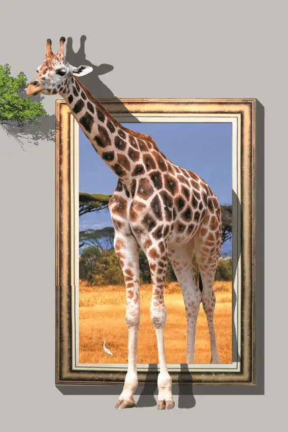 Giraffe Printed 3D Oil Paintings on Canvas Walls Art