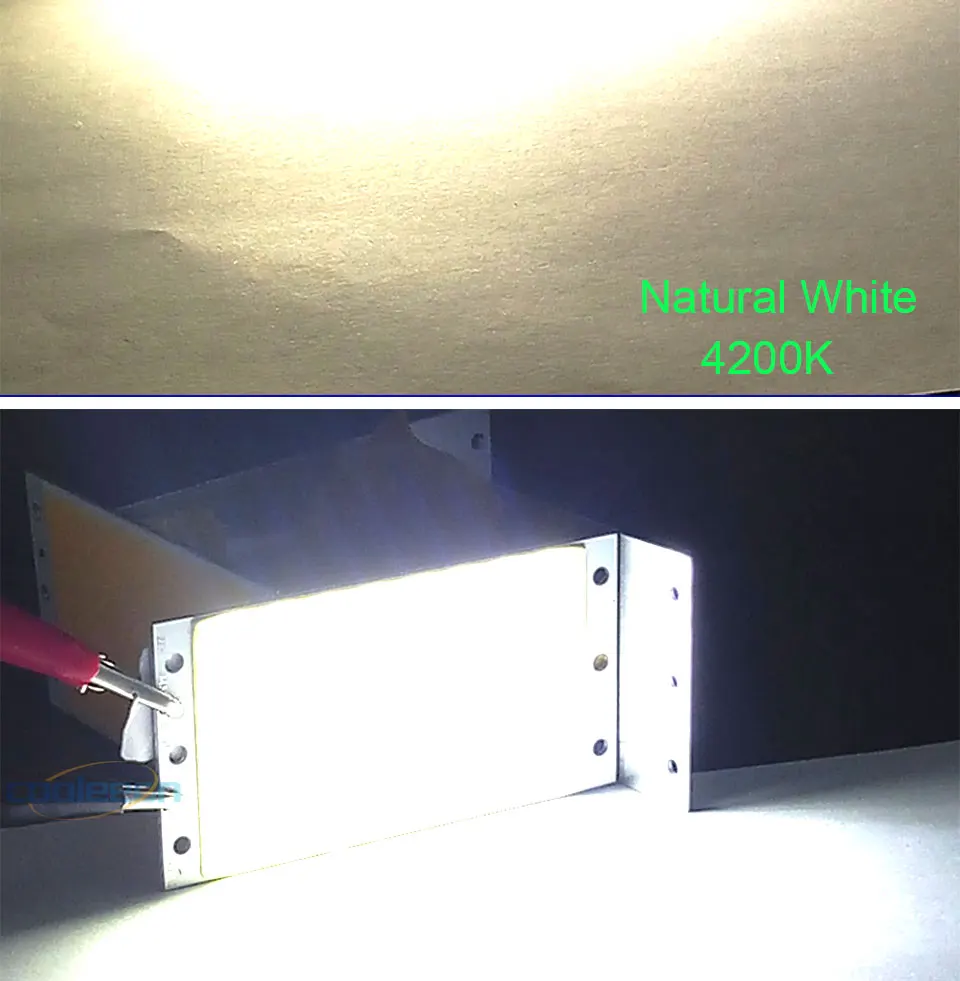 Dimmable LED Light 12V 110V 220V COB LED Panel Lamp with Dimmer Warm Day Cool White COB Chip for Car Lighting Work Lamp DIY Bulb (12)