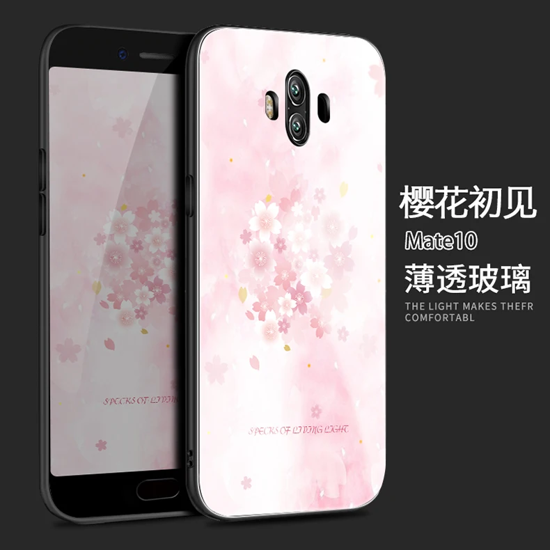 mate 10 (4)