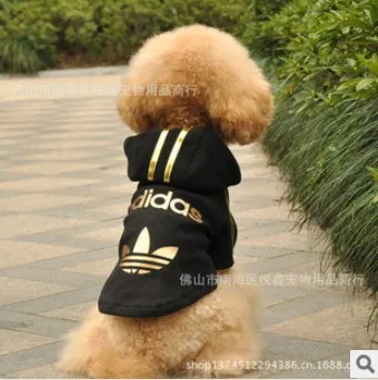 adidas dog adidas dog