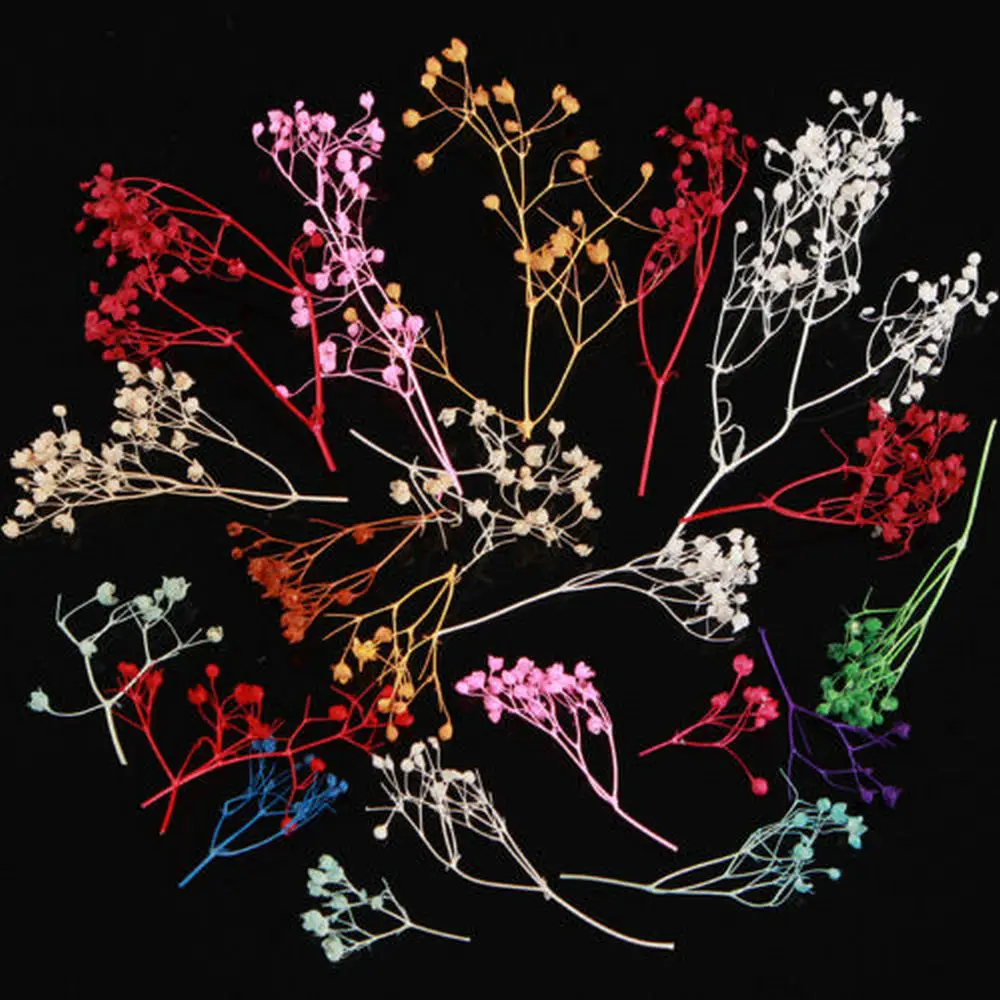 10 шт./пакет 3D сухих цветов Довольно сохраненный цветок DIY Маникюр нейл-арта украшения 10 Цвета для УФ-гель акрил для Неил арта украшения для кончиков ногтей