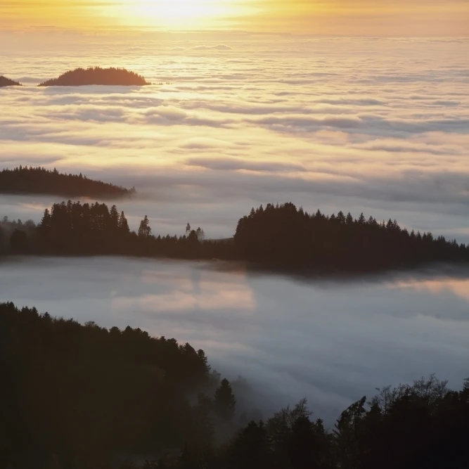 Hillside and autumn fog  near St. Ulrich; Black Forest  Germany Poster Print (19 x 12)