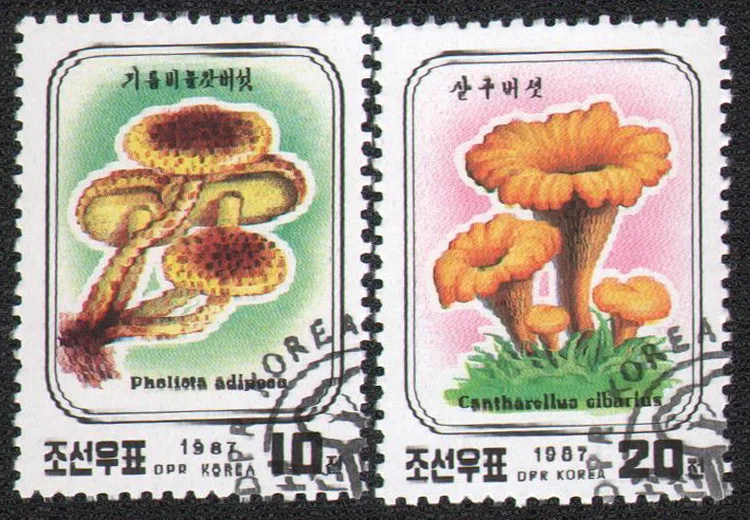 

2 PCS SET Mushroom DPRK Korea 1987 Post Stamps Postage Collection