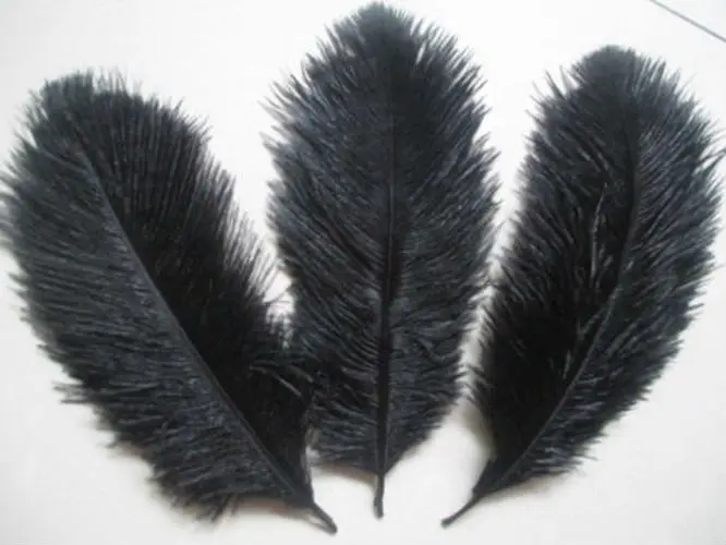 

perfect! Sales 10pcs15-20CM Beautiful black ostrich feather, DIY jewelry accessories, wedding decorations