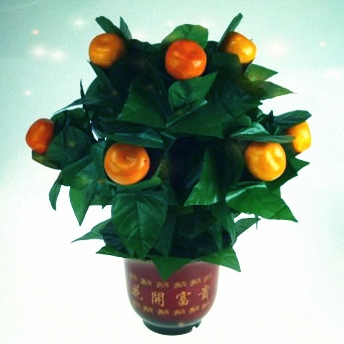 

Free Shipping 10 Blooming Oranges - Remote Control - Stage Magic Magic Tricks