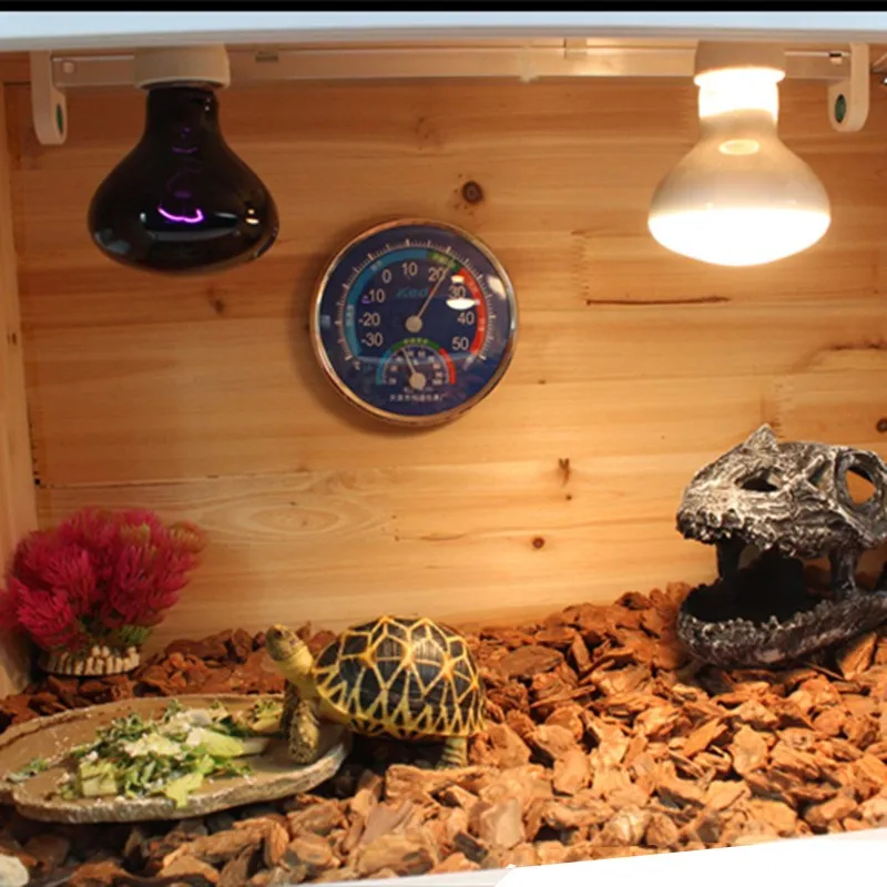 tortoise basking lamp
