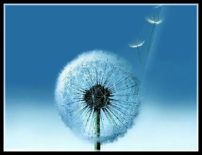 7_