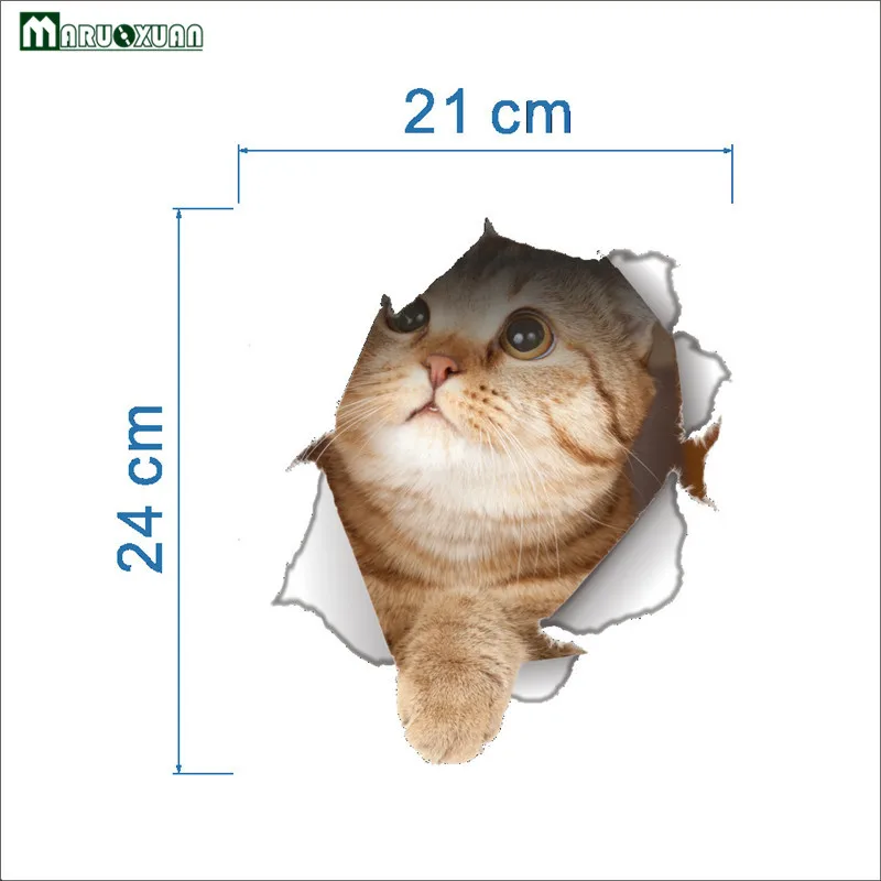 4126020252_68146657