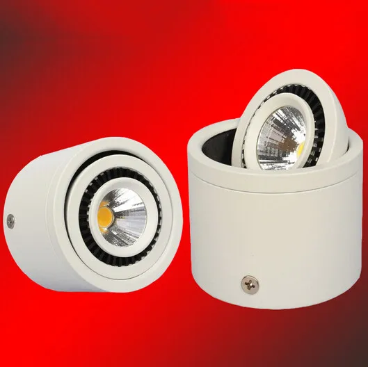 

Free shipping 20W Surface Mounted COB Led Ceiling Downlight Whtie and Black shell Led Spot Light With Led Driver AC85-265v